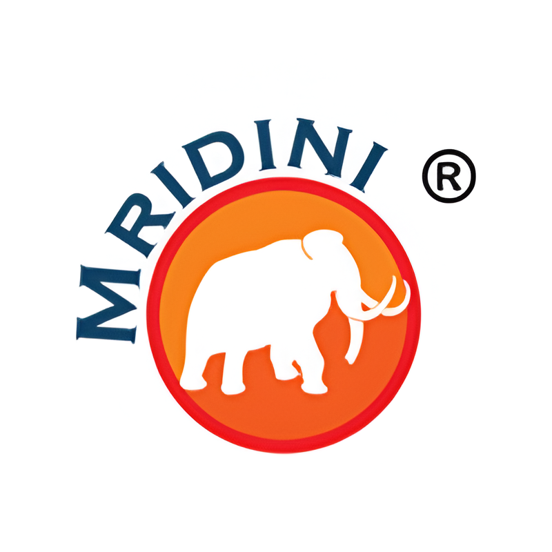 Mridini Casting