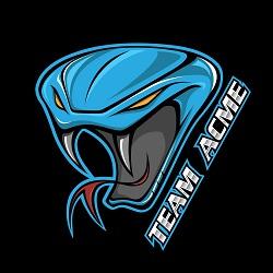 teamacme