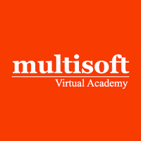 shivanimultisoft