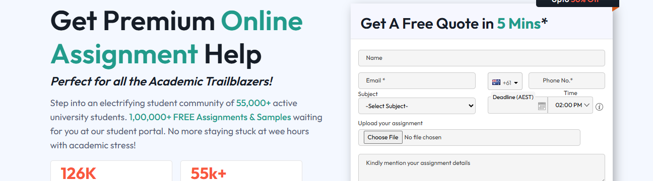 Online Assignment expert