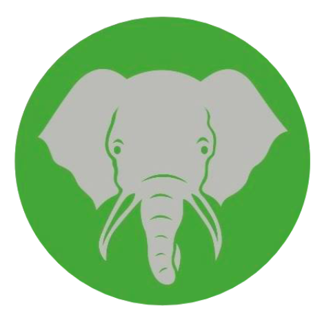 Elephant Trunk