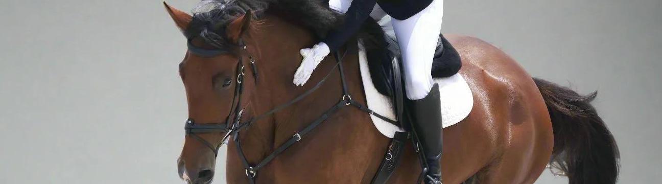 Canter Cart