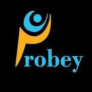 ProbeyServices
