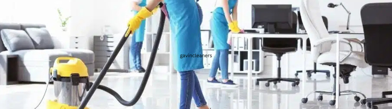Gavin Cleaners