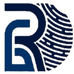 rapiddigitalgrowth