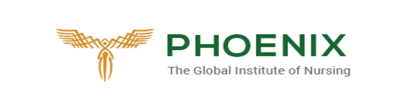 Phoenix Nursing Institute