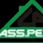Ass Perr