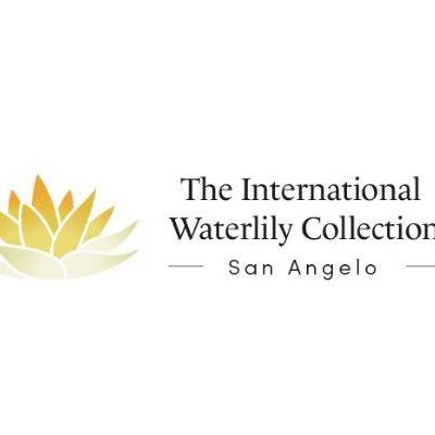 internationalwaterlilycollection
