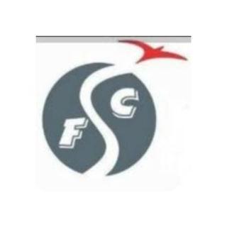 flyskyconsultancy
