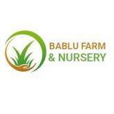Bablufarmandnursery