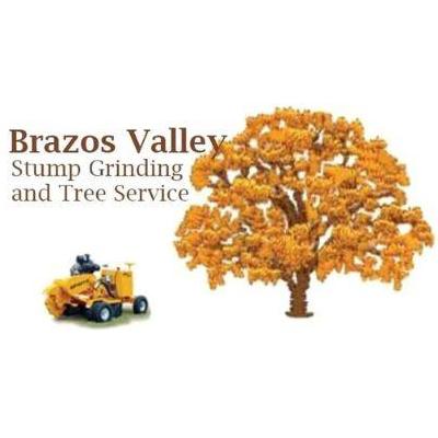 BrazosValleyStumpGrinding