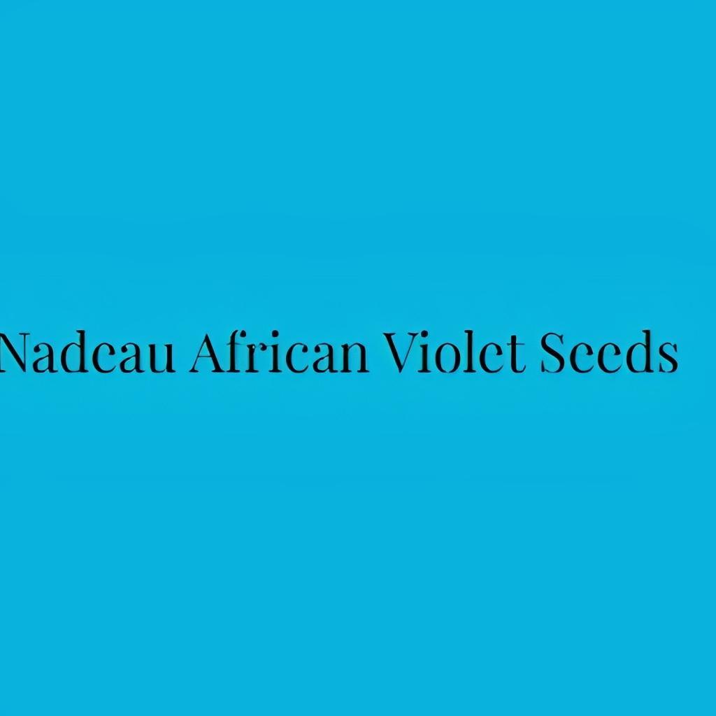 Nadeau African Violet Seeds