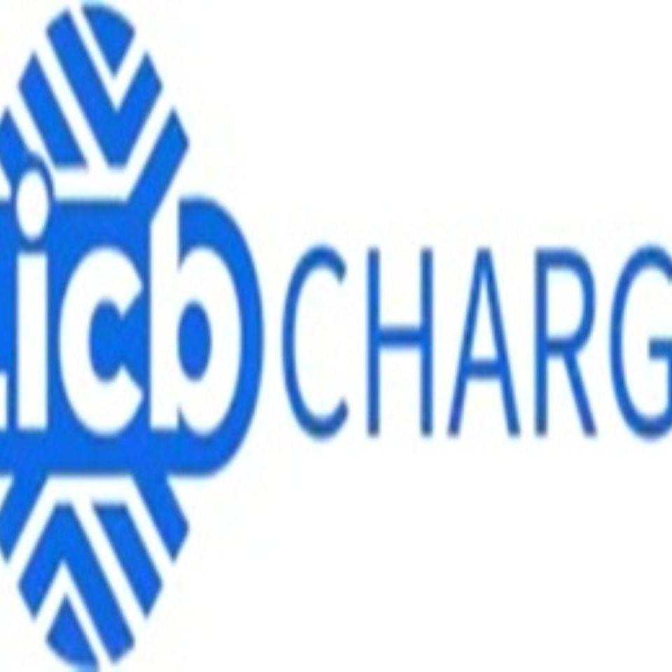 Lie Charger