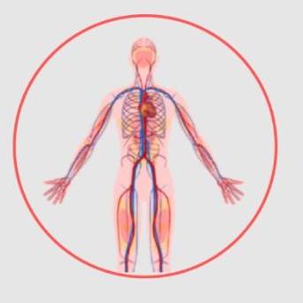 vascularcareindia