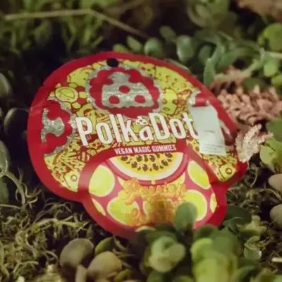 Official Polkadot