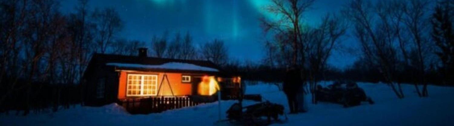 Arctic Midnight  Group