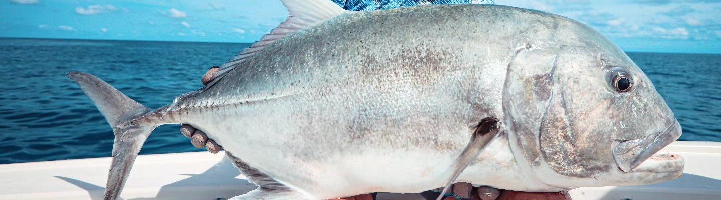 East Coast Angling