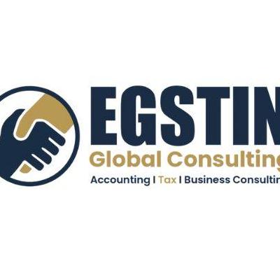 EGSTIN Consultant