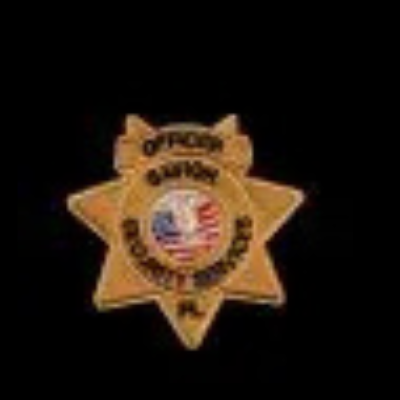Savior Security  Services
