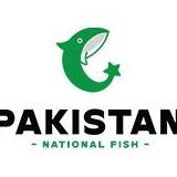 pakistanationalfish