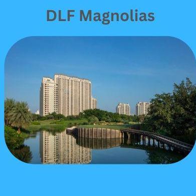 dlf002