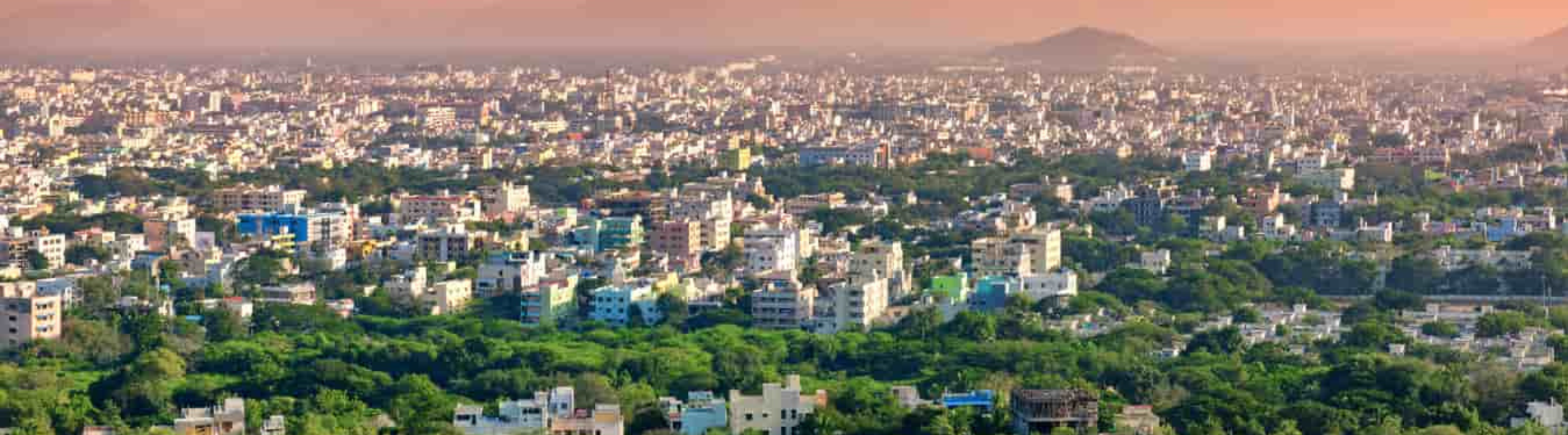 Reeltor Chennai