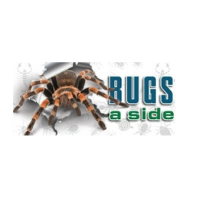 bugsaside