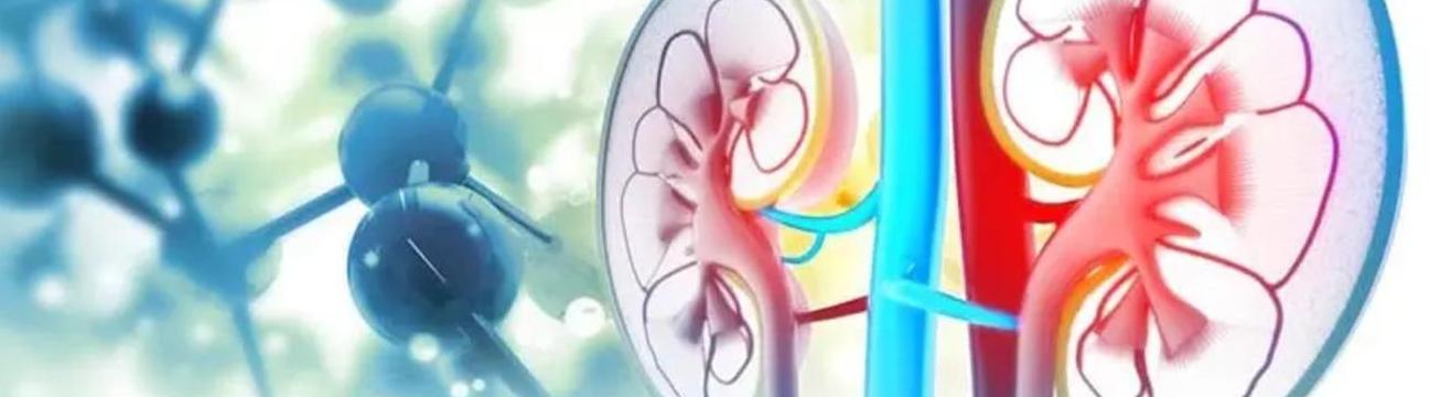 North Delhi Uro Gynae Clinic