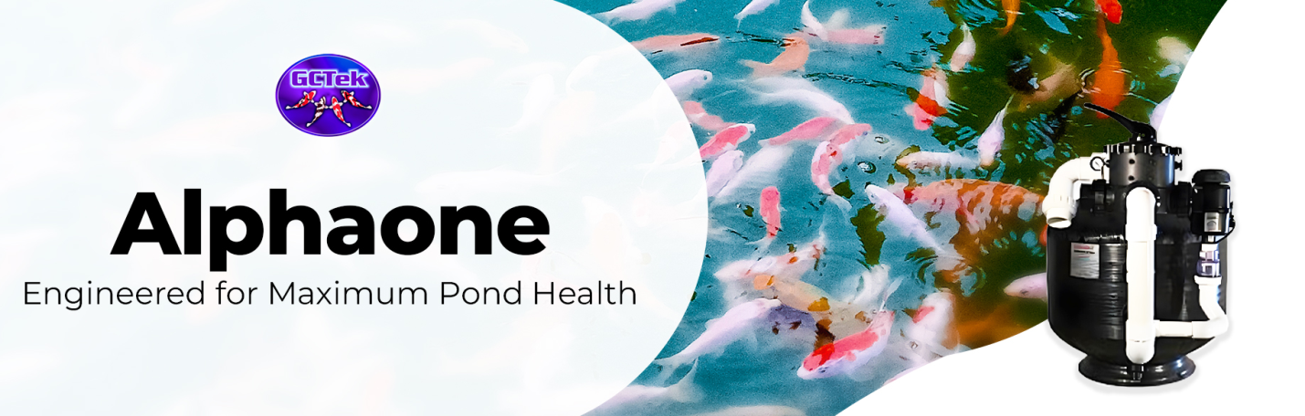 C:\Users\Seo4P\OneDrive\Pictures\alphaone banner.png