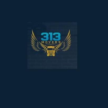 313movers
