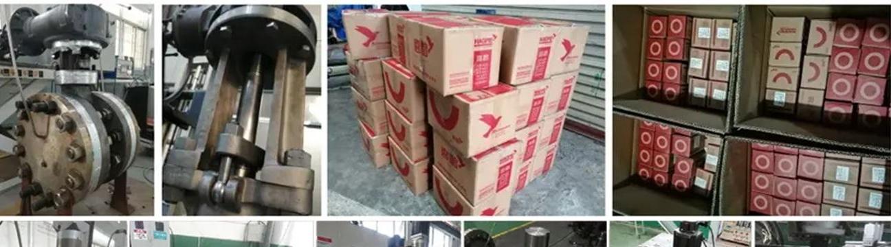 Magpie Valve Packing Gasket