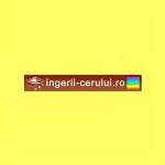 ingerii cerului profile picture