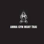 AMMA Gym Muay Thai profile picture