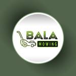 bala mowing Profile Picture