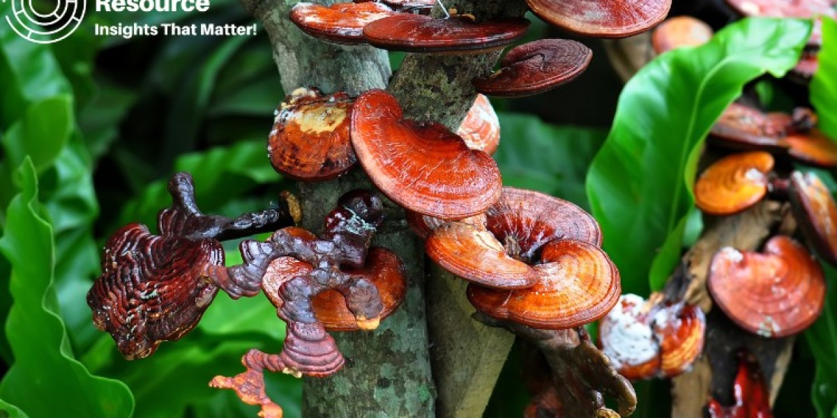 Unlocking Insights with Ganoderma Lucidum Production Cost Reports: A Guide to Cost-Efficient Mushroom Cultivation