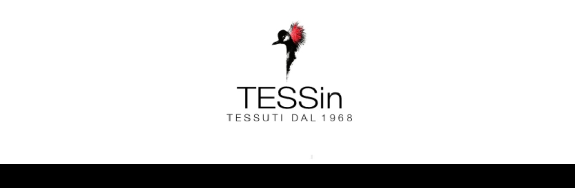 TESSin Cover Image