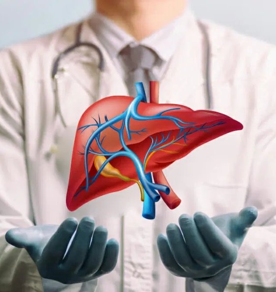 Choose Liver Transplant Surgery with the Right Medical Team