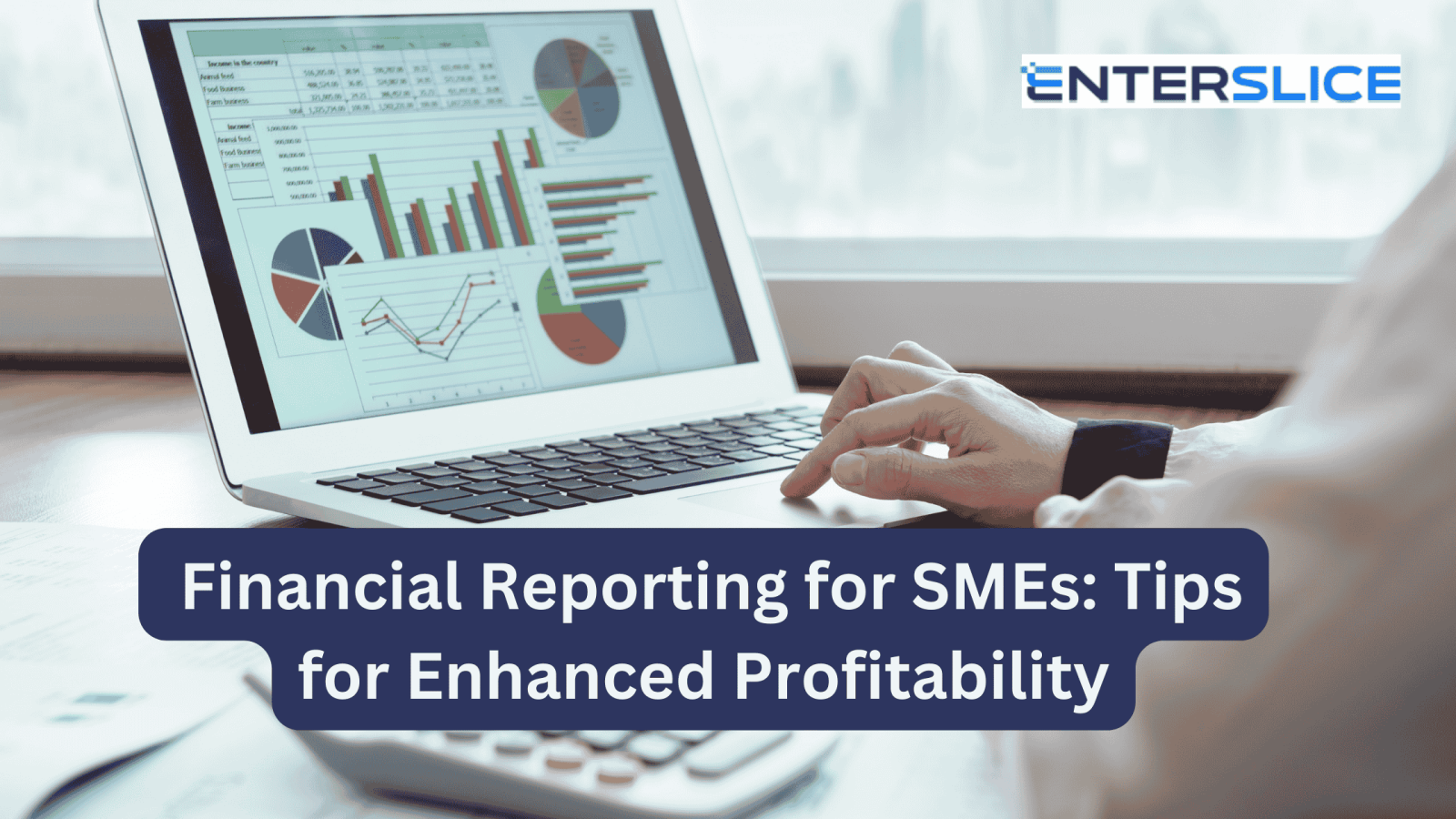 Financial Reporting for SMEs: Tips for Enhanced Profitability