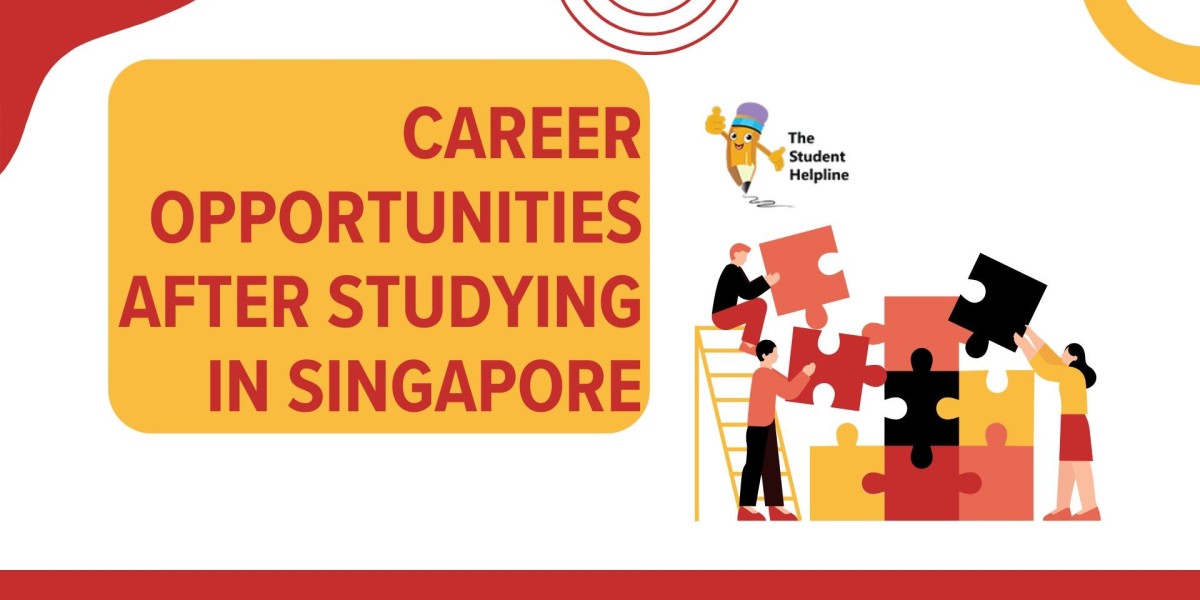 Career Opportunities After Studying in Singapore