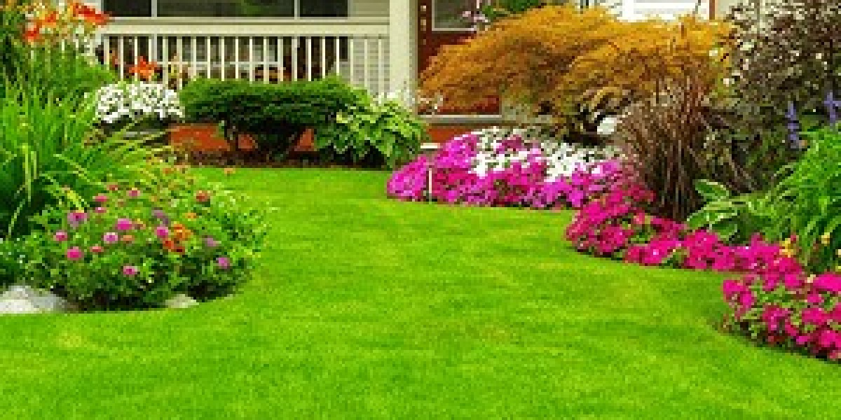 Lawn Fertilization near me