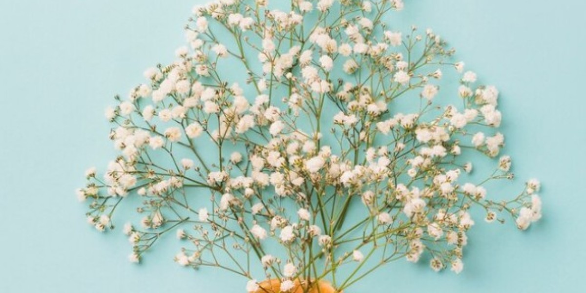 Baby's Breath Flowers: Adding Whimsy to Your Floral Designs