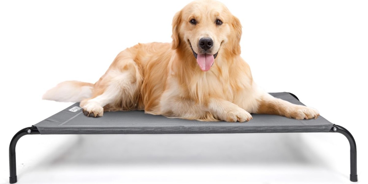 Pet Itz: Discover Comfortable Dog Beds and Luxury Pet Rest Solutions