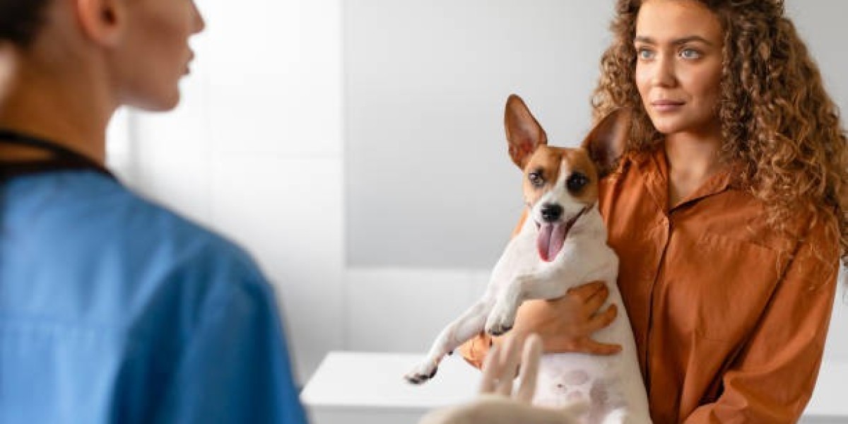 Find Reliable Pet Care Services for All Stages of Your Pet’s Life