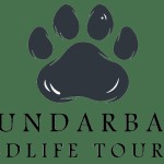 Sundarban Wildlife Tourism Profile Picture