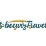 beewiz travel Profile Picture