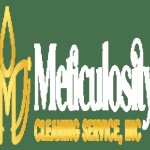 Meticulosity Cleaning Profile Picture