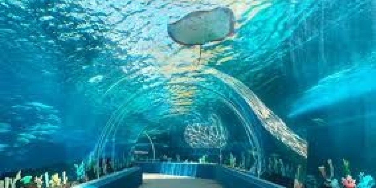 Amazing Aquariums in the Philippines to Add to Your Bucket List