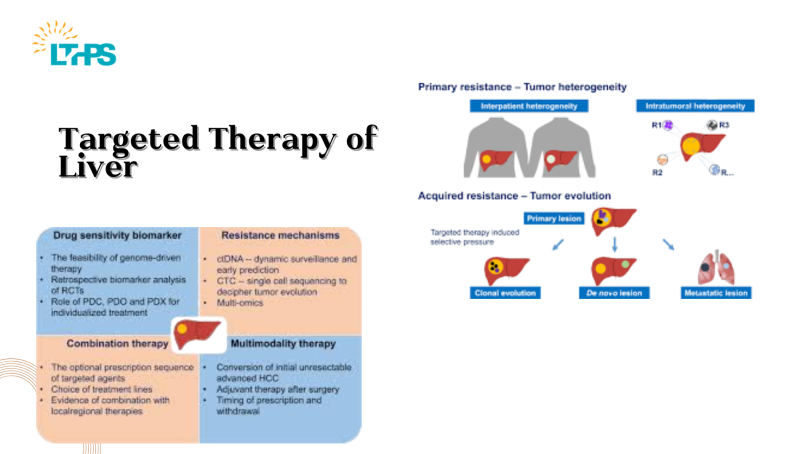 Targeted Therapy of Liver: drneerav — LiveJournal