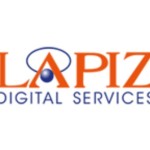 Lapizdigital profile picture