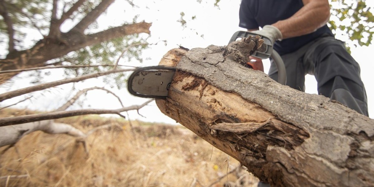 Professional Tree Cutting in Bradford | Safe & Affordable